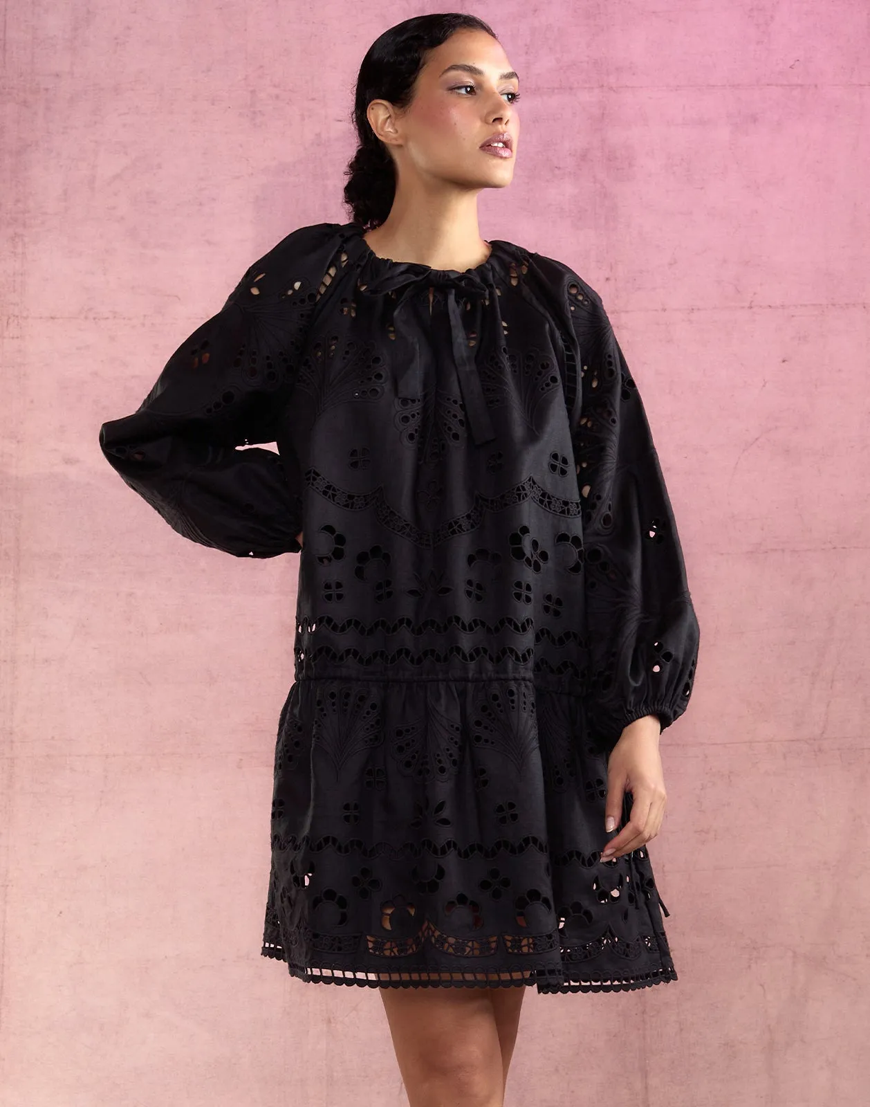 Eva Embroidered Dress